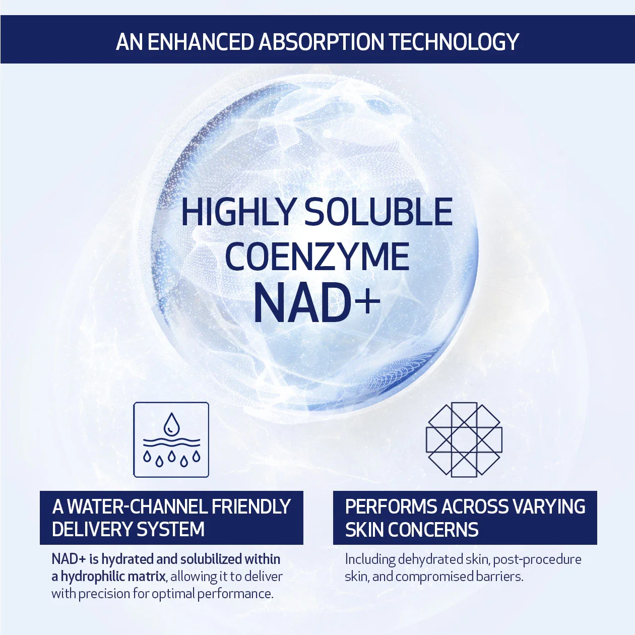 CELLULAR RENEWAL SERUM - Image 4